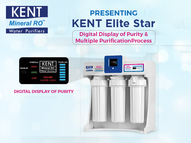 KENT ELITE STAR - Image 2